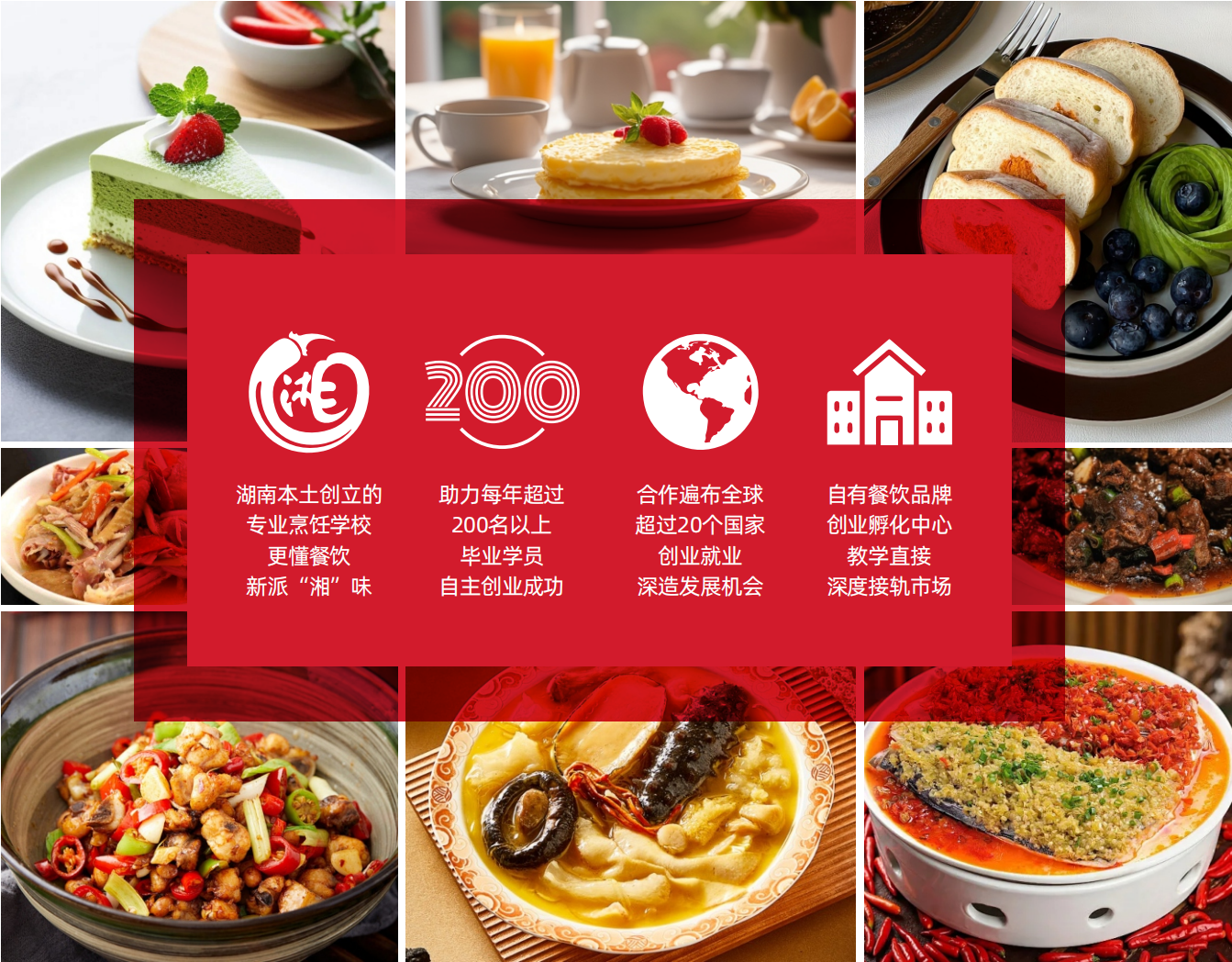 为什么选择狄鹿